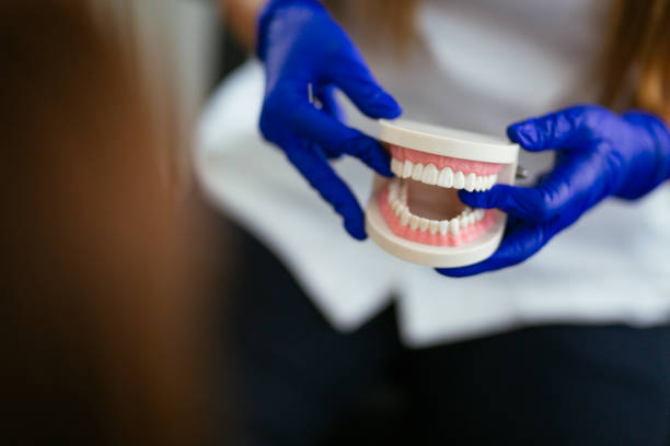 Best General Dentistry  in Tusculum, TN